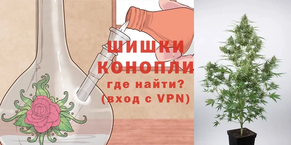 дурь Корсаков